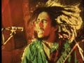 ROOTS, ROCK, REGGAE　〜ルーツ・ロック・レゲエ〜