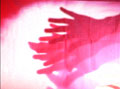 IKIF Collaboration 2006