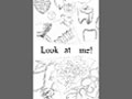 「Look at me!」ジュエリーグループ展