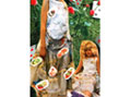 Tabela『Pintxos』展