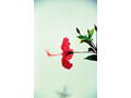 古澤 藤「sound of silence」展