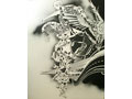  黒田潔個展 「DISCOLOR」