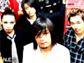 Sonic Flower Groove