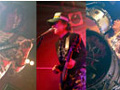 FENCE OF DEFENSE LIVE 2007 “hot dogs 2”