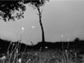 Dark was the Night