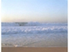 ホンマタカシ写真展　Takashi Homma Exhibition　NEW WAVES