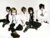 THE KIDDIE SHIBUYA BRAND NEW WAVE