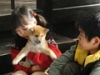 マリと子犬の物語