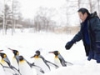 旭山動物園物語〜ペンギンが空をとぶ〜