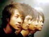 ザ・ルーズドッグス THE LOOSE DOGS STORY