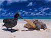 岩合光昭写真展　Iwago's World