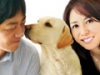 犬とあなたの物語 いぬのえいが