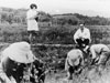 医す(いやす)者として〜映像と証言で綴る農村医療の戦後史〜