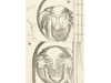 舟越桂 新作版画展