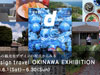 d design travel  OKINAWA EXHIBITION